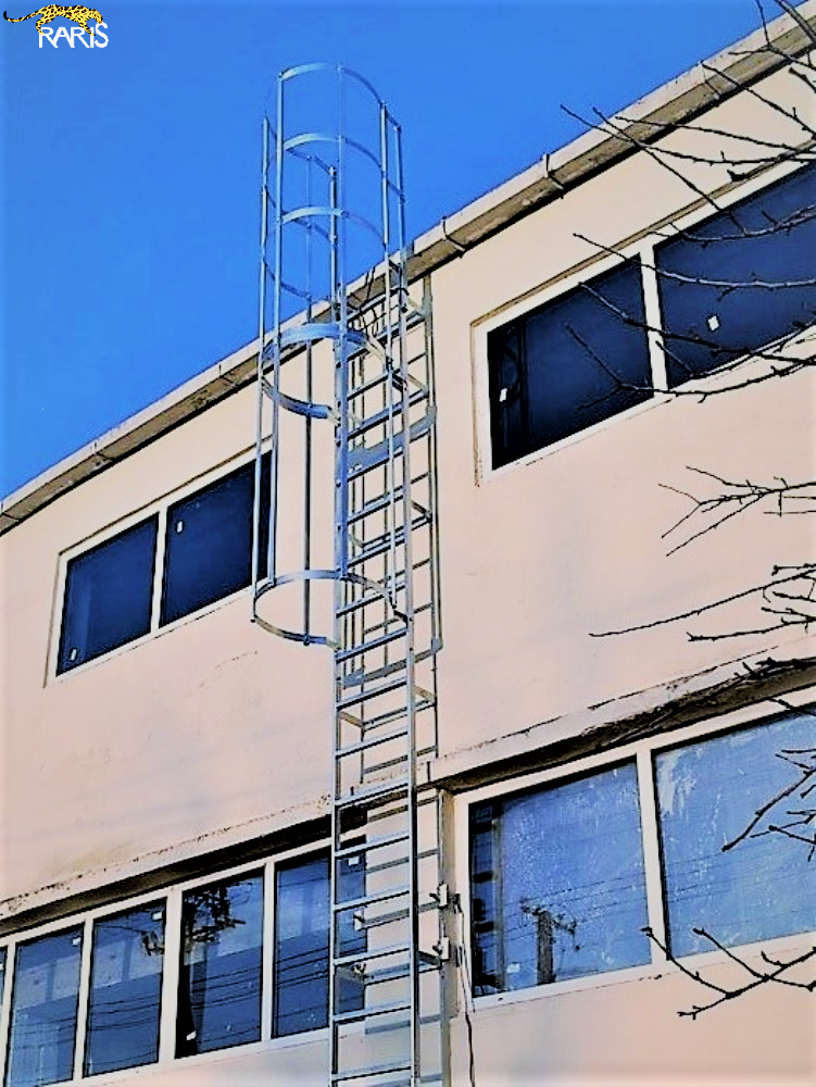 pisica inox sudat 1.png